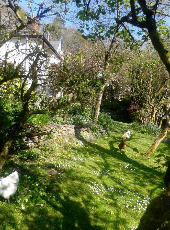 Tracebridge Cottage B&B Stawley Exterior photo