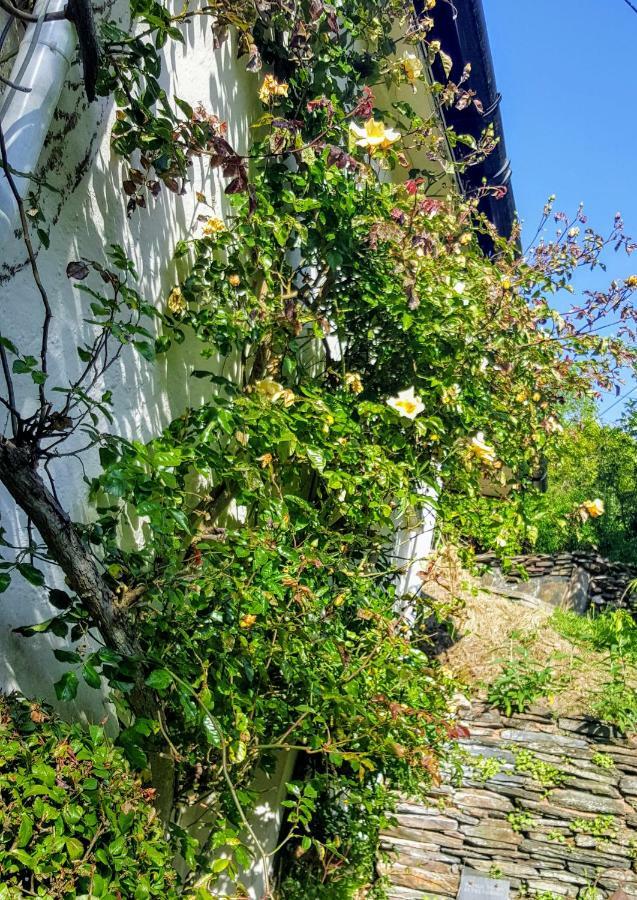 Tracebridge Cottage B&B Stawley Exterior photo